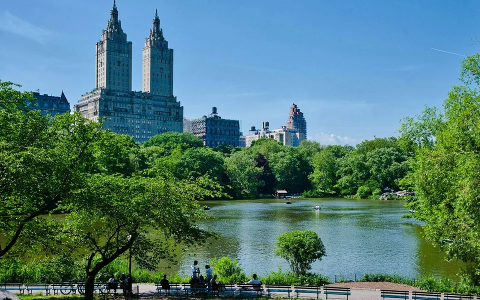 Central Park greenery and surrounding buildings